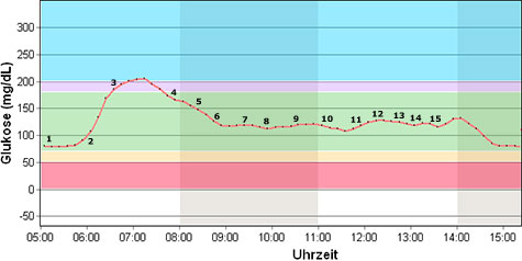 Blutzuckerprofil während des Rennsteiglauf Supermarthons 2009
