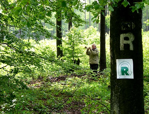 Rennsteiglauf Supermarathon: Trompeter im Wald