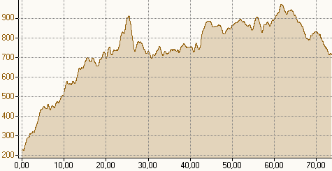 Höhenprofil des Rennsteiglauf Supermarathons