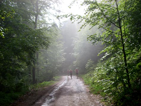 Rennsteiglauf Supermarathon: Impression von der Strecke