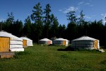 Gers im Camp Toilogt am Hovsgol-See