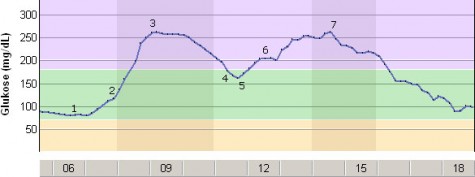 Blutzuckerverlauf während des Berlin Marathons 2009