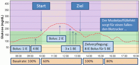 Blutzuckerverlauf und Therapieanpassung beim Frankfurt Marathon 2009