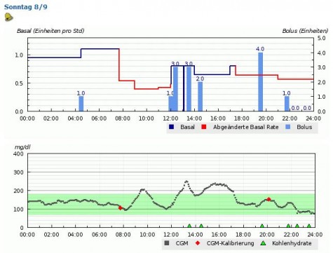 Blutzuckerverlauf Münster Marathon 2013